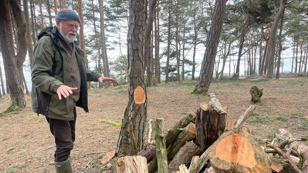 Anmelder forvaltningen av Raet nasjonalpark