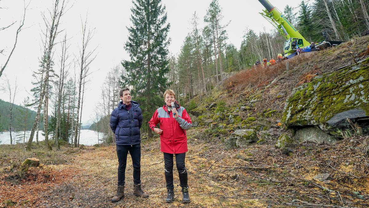 UK embraces Oslo mayor after Christmas tree closes – NRK Oslo and Viken – Local news, TV and radio