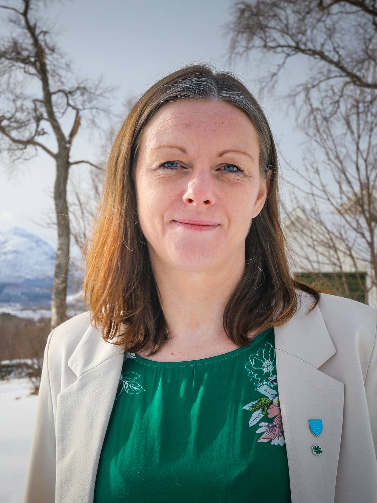 Hamarøy, ordfører, sp, britt kristoffersen