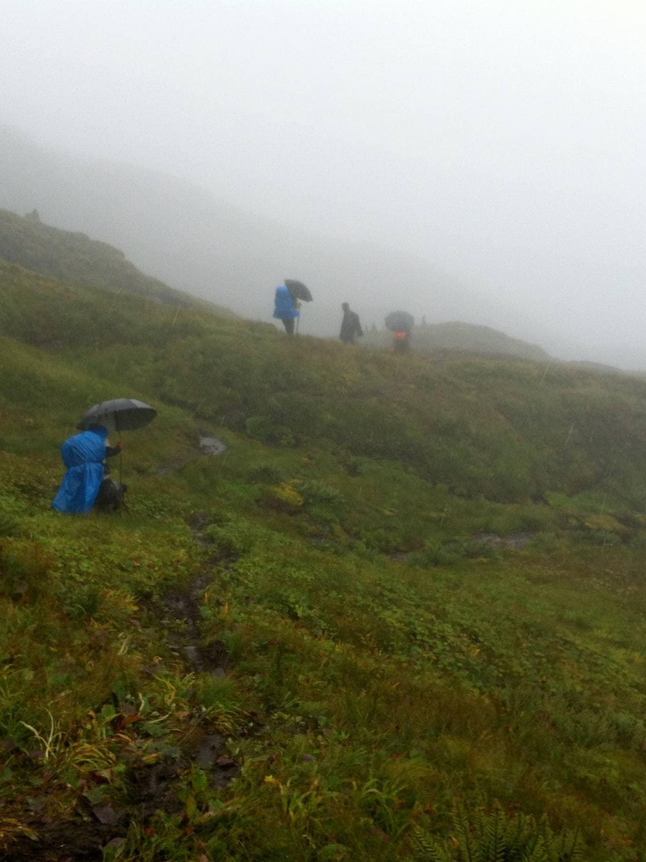 Fjellside i Himalaya, folk klatrer med paraplyer på pilegrimsferd