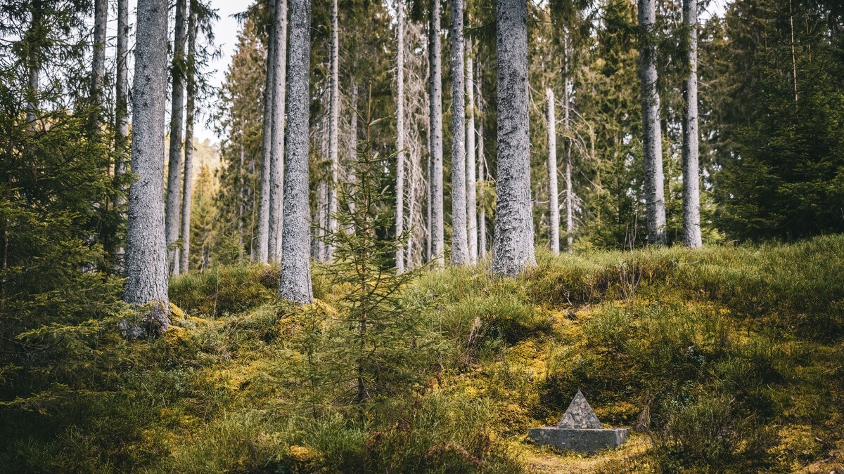 Slik vil de finne nazistenes skjulte ofre i en av Norges mest kjente skoger