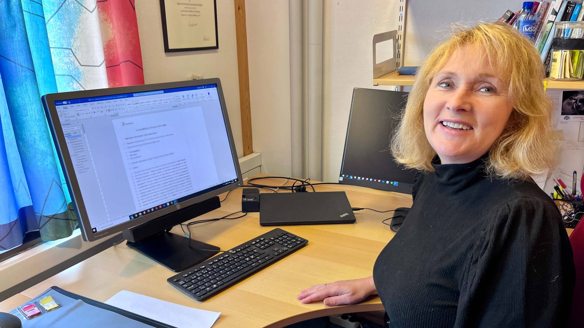 Hilde Bjørnå, professor i statsvitenskap ved UiT Norges arktiske universitet.