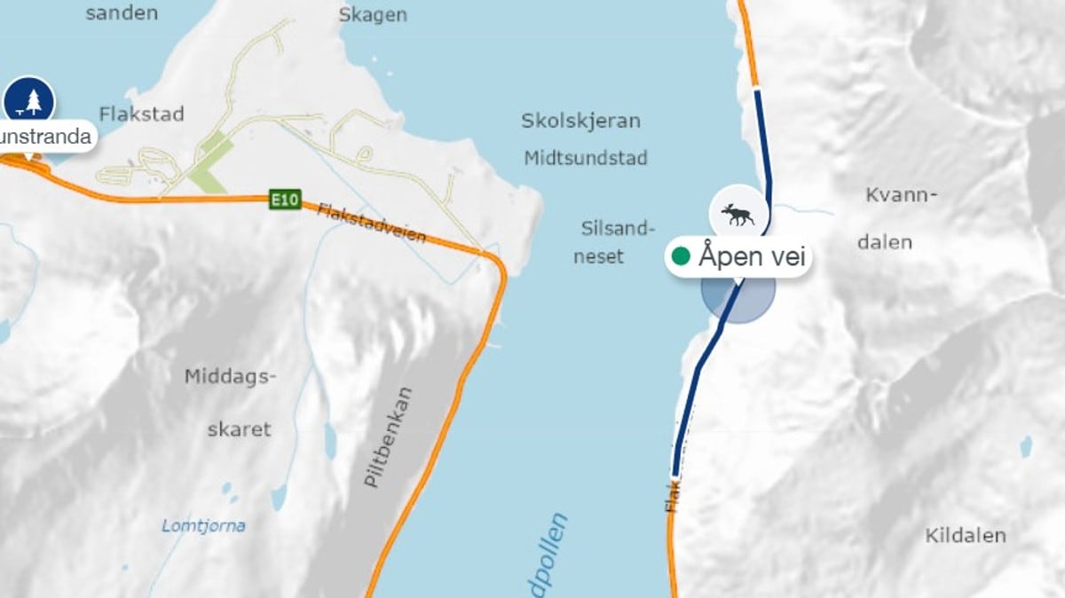 Dyr i veibanen