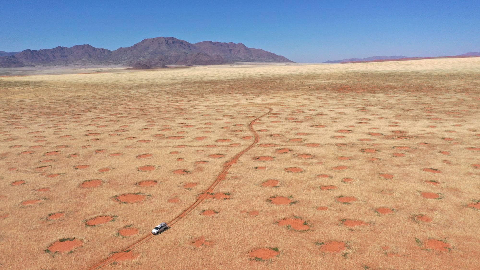 Пустыня Намиб загадочные круги