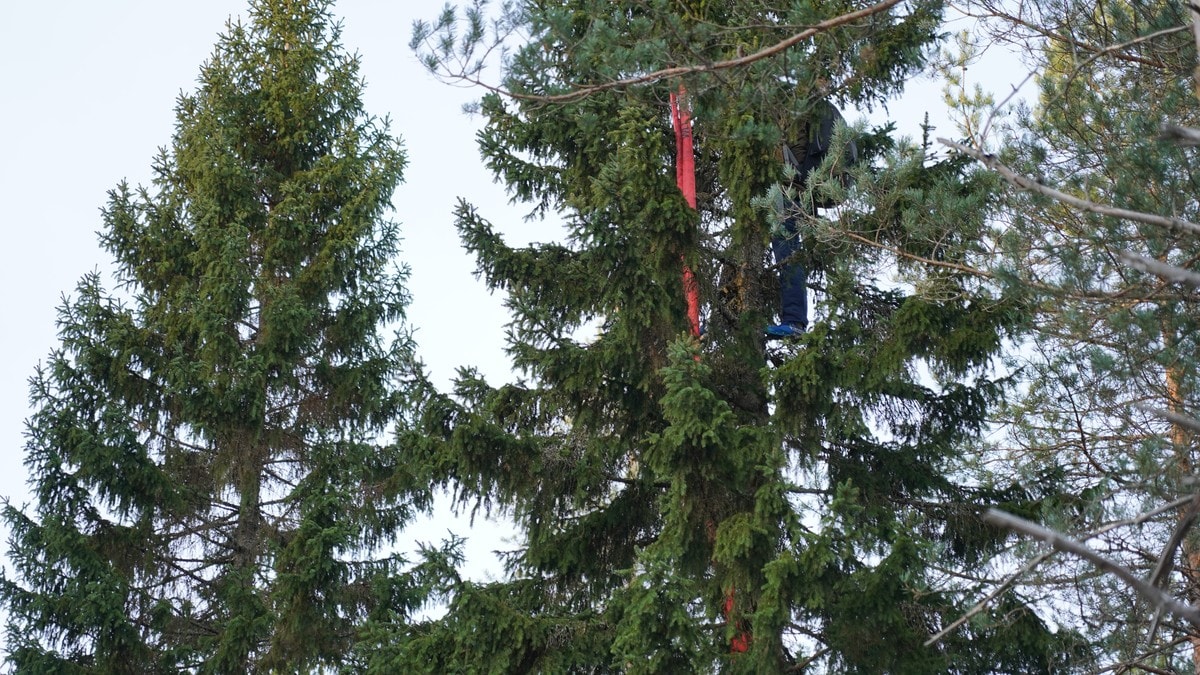 Demonstrant har klatret opp i London-grana