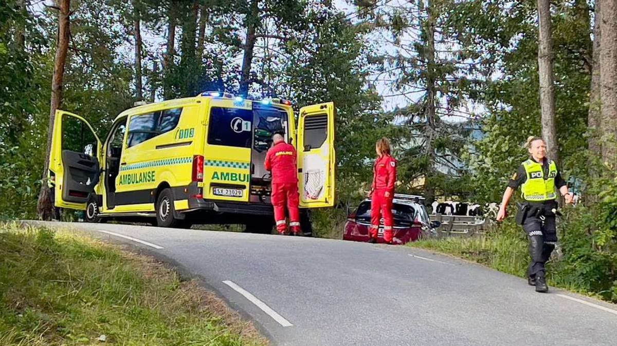 437 drepne på fylkesvegane på 10 år – likevel blir fylkesvegane dårlegare og dårlegare